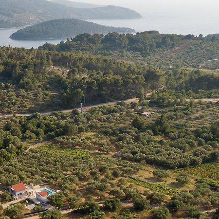 Villa Barbara - Olive Paradise, With Chlorine-Free Pool Vela Luka Exterior foto