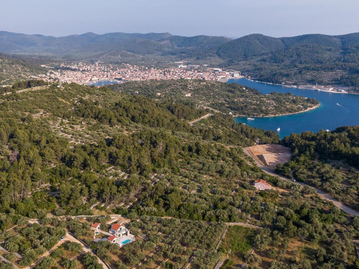 Villa Barbara - Olive Paradise, With Chlorine-Free Pool Vela Luka Exterior foto